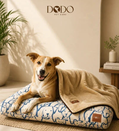 Blankets